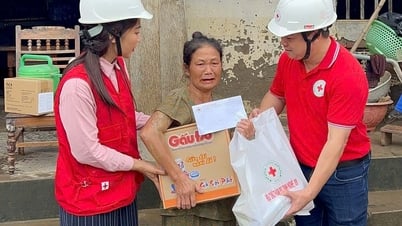 Hội Chữ thập đỏ Việt Nam cứu trợ khẩn cấp, kịp thời hỗ trợ người dân vùng lũ Nghệ An