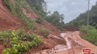 Mưa, dông gây thiệt hại tại một số địa phương
