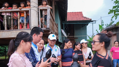 Gia Lai tổ chức chương trình Famtrip khảo sát, kết nối tour tuyến du lịch