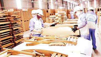 Rộng mở cơ hội phát triển sau khi sáp nhập
