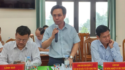 Thành lập Ban chỉ đạo triển khai dự án đường bộ cao tốc Quy Nhơn - Pleiku
