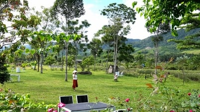 ĐẠI HỘI ĐẠI BIỂU ĐẢNG BỘ XÃ SÔNG VÀNG LẦN THỨ I (NHIỆM KỲ 2025 - 2030):Khai phá tiềm năng du lịch