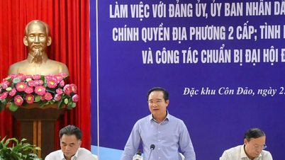 Phát triển đặc khu Côn Đảo xứng tầm, gắn với bảo tồn bản sắc