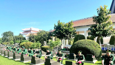 TPHCM thực hiện nhiều hoạt động tri ân nơi biển, đảo