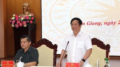 An Giang: Implementing '6 clear' measures to combat IUU fishing