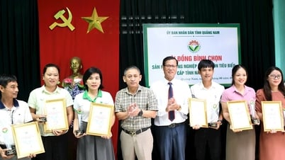 Vinh danh 20 sản phẩm công nghiệp nông thôn tiêu biểu