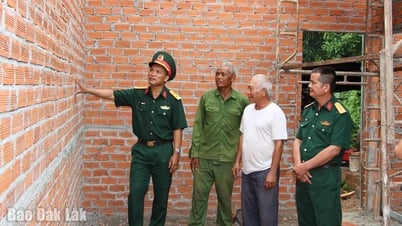 Nghĩa tình tri ân