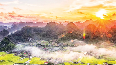Đồng hành cùng doanh nghiệp khởi nghiệp