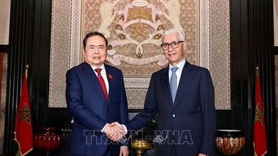 Chủ tịch Quốc hội Trần Thanh Mẫn hội đàm với Chủ tịch Hạ viện Morocco