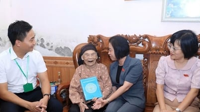 Phó Chủ tịch HĐND thành phố Phạm Thị Thanh Mai thăm, tặng quà người có công xã Minh Châu