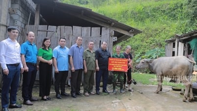 Trao tặng sổ tiết kiệm cho người có công với cách mạng và trâu giống cho thương binh thuộc hộ cận nghèo