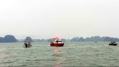 Phát hiện một thi thể, nghi là nạn nhân vụ lật tàu trên vịnh Hạ Long