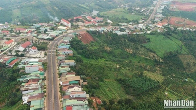 Xây dựng cơ sở dữ liệu, chế độ báo cáo trực tuyến trên Hệ thống trong giám sát, đánh giá các chương trình mục tiêu quốc gia