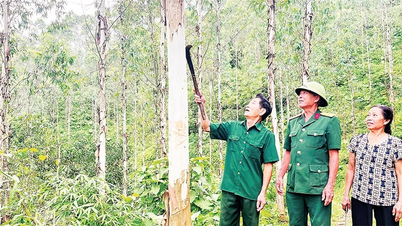 Tấm gương thương binh vượt khó