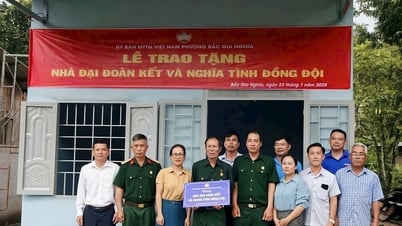 Thiết thực các hoạt động an sinh xã hội chào mừng Đại hội Đảng bộ phường Bắc Gia Nghĩa