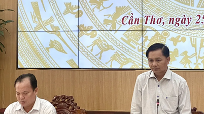 TP Cần Thơ: Phân công cán bộ giỏi công nghệ thông tin về xã để phục vụ người dân tốt hơn