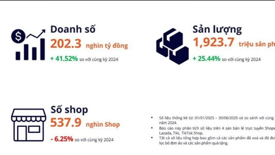 Vì sao hơn 80.000 shop lặng lẽ rời sàn thương mại điện tử?