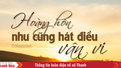 [E-Magazine]: Hoàng hôn như cũng hát điều vân vi