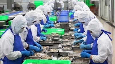 Việt Nam vươn lên vị trí đối tác xuất khẩu thuỷ sản lớn thứ 3 vào Singapore