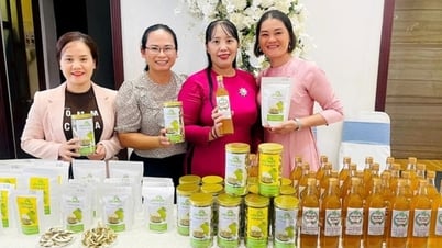 Mong tinh thần khởi nghiệp tiếp tục lan tỏa trong hội viên, phụ nữ