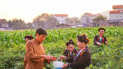 Khởi sắc kinh tế - xã hội ở Đạo Trù