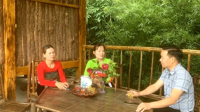 Mai Châu: Đổi thay từ chính sách hỗ trợ sinh kế cho đồng bào Dân tộc thiểu số