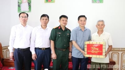 Đoàn công tác của tỉnh thăm, tặng quà gia đình chính sách, người có công tại xã Vũ Lễ