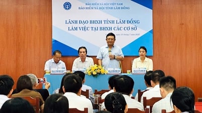 BHXH tỉnh Lâm Đồng nắm bắt, tháo gỡ khó khăn cho các đơn vị cơ sở