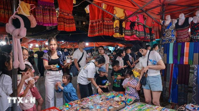 Kiên quyết xử lý vi phạm trật tự đô thị, nạn chèo kéo, ăn xin tại Sa Pa