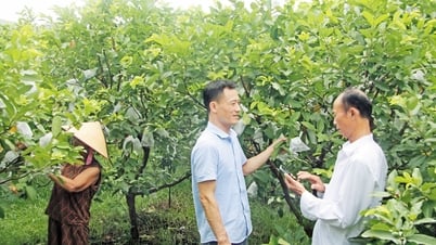 Từ làng truyền thống đến... thôn thông minh