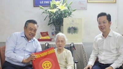Chủ tịch UBND thành phố Hà Nội Trần Sỹ Thanh thăm, tặng quà người có công