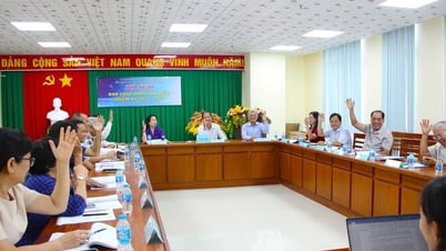 Mid-term review and implementation of the project to merge the Associations of 2 provinces into the An Giang Association Union (new)