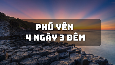 Tour du lịch 4N3Đ từ Hà Nội khám phá miền biển Nam Trung Bộ