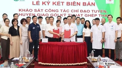 Bệnh viện Hữu nghị Việt Đức khảo sát chuyển giao kỹ thuật tại Bệnh viện Đa khoa tỉnh