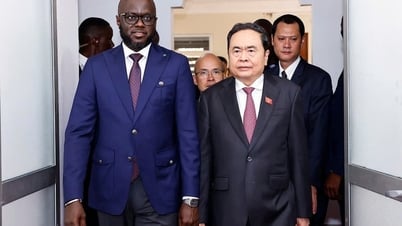 Tạo xung lực để Việt Nam - Senegal mở rộng hợp tác trên tất cả các lĩnh vực