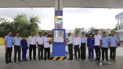 Petrolimex Đồng Tháp gắn biển công trình kỷ niệm 70 năm thành lập Tập đoàn Xăng dầu Việt Nam