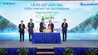 Sở hữu xe điện với lãi suất cho vay cạnh tranh từ Sacombank