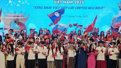 Kiều bào trẻ xúc động khi được đến thăm "địa chỉ đỏ" của quê hương