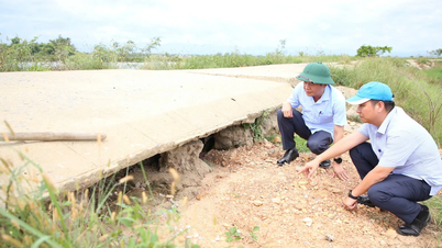 Cần sớm nâng cấp hệ thống đê điều phục vụ sản xuất