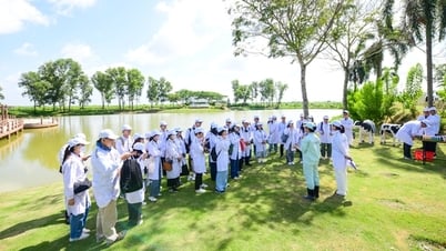'Mở khóa tự nhiên': Vinamilk biến rào cản thành vòng tuần hoàn xanh tại trang trại sinh thái