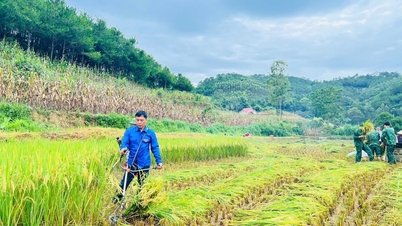 Tuổi trẻ đền ơn đáp nghĩa
