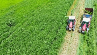 Vinamilk "Mở khóa tự nhiên" tại Green Farm: Mô hình sinh thái truyền cảm hứng đến cộng đồng doanh nghiệp