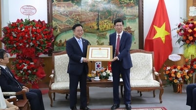 Remise d'un certificat de mérite du ministre de la Culture, des Sports et du Tourisme à l'ambassadeur du tourisme vietnamien en Corée