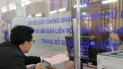 Chủ tịch UBND tỉnh Lâm Đồng chỉ đạo siết chặt quản lý bất động sản, ngăn chặn "cò đất"