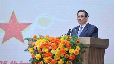 Thủ tướng: Quy tập hài cốt, xác minh danh tính liệt sĩ "khó mấy cũng phải làm và làm bằng cả trái tim"