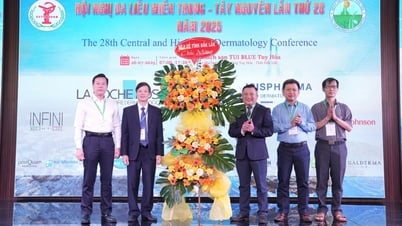 Hơn 300 đại biểu dự Hội nghị Da liễu miền Trung - Tây Nguyên