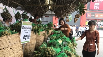 Nhãn lồng là đặc sản nổi tiếng của tỉnh nào?
