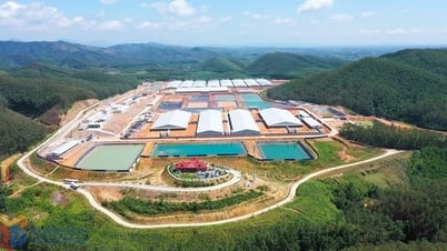Động lực cho đầu tư chăn nuôi