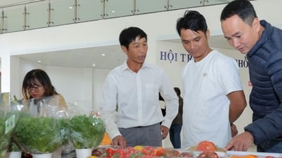 Lâm Đồng cung cấp 90% sản lượng rau, củ, quả an toàn tiêu thụ tại TP Hồ Chí Minh