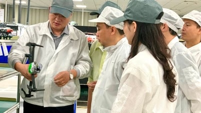 Xung lực mới cho đào tạo nhân lực